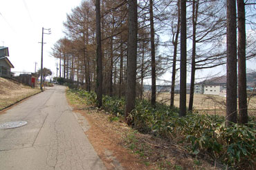 信濃町富濃250－写真6