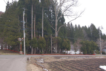 信濃町野尻298－写真2