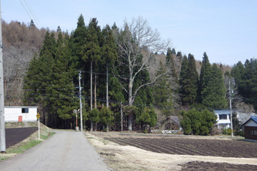 信濃町野尻298－写真4